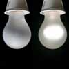 Light bulbs