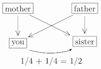 How related are you to your sister?