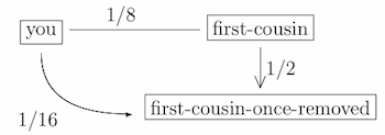 How related are you to your first-cousin-once-removed?