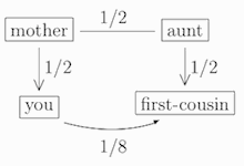 How related are you to your first-cousin?