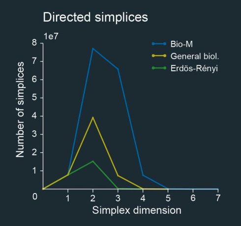 Plot showing counts for directed simplices in different but comparable networks
