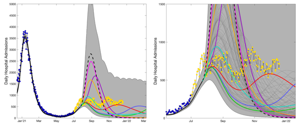 Roadmap 4 projections