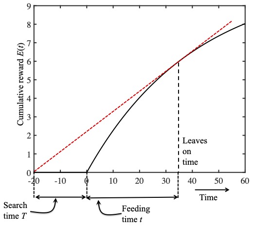 The black curve in these figures is the reward function $E(t)$.  The slope of this curve is the reward per minute in the past minute: instantaneous reward rate $r(t)$.