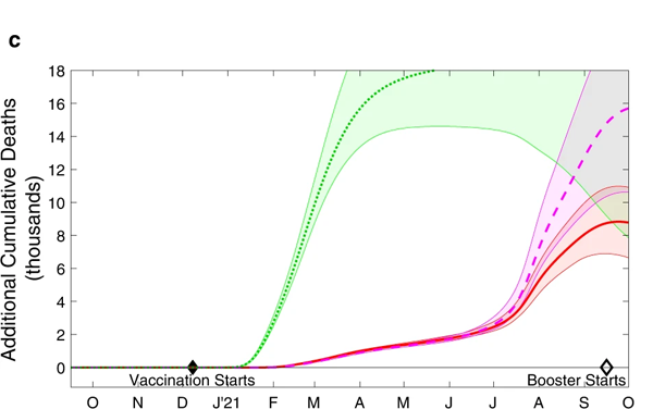 model projections of total additional deaths