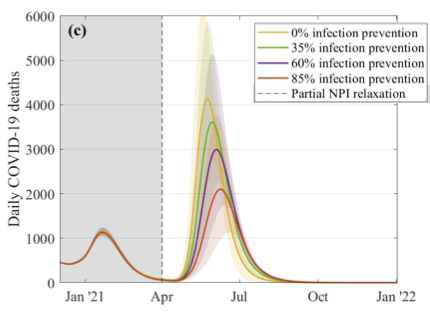 daily number of COVID-19 deaths  if restrictions were suddenly lifted in April