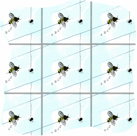 Figure 8: Lots of space to bee in?