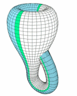 Animated Klein bottle