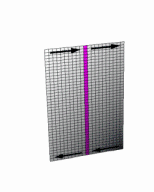 Animated Klein bottle