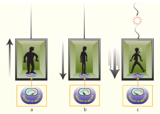 Figure 8: Weight control, elevator style - gaining weight when the elevator accelerates up (a), losing weight when it accelerates down (b) and achieving weightlessness when it free falls (c).