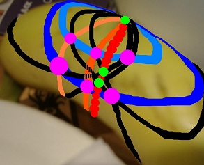 Banana with lines and shadows