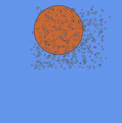 Model of birds flocking