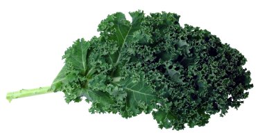 A kale leaf