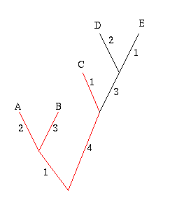 The phylogenetic diversity.