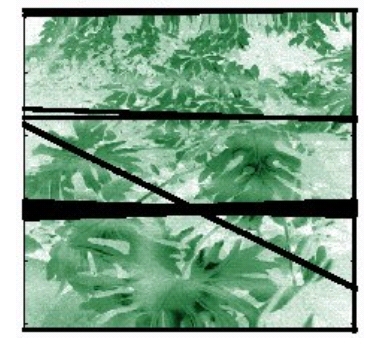 Leaves and trip-wires