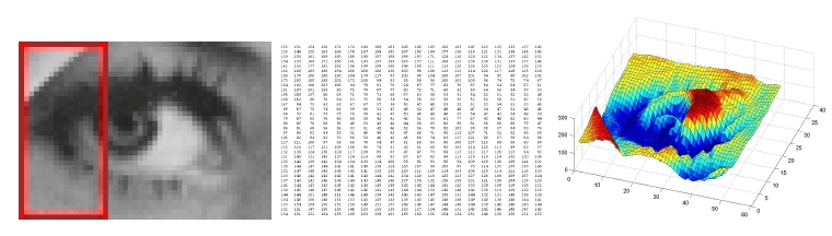 A digital image and its numerical representation