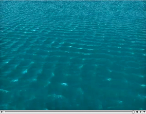 Click on the image to play the movie in another window.