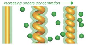 As the cell becomes more crowded, the tube is bent into a tighter and tighter helix
