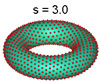torus with s=3.0