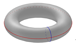 Torus with two loops indicated.