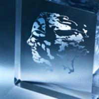 Abel prize, a clear class with art of a face