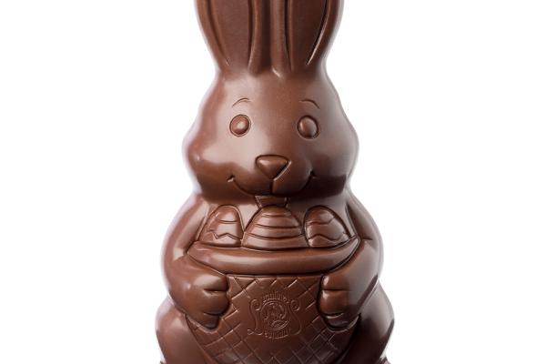 Chocolate Bunny