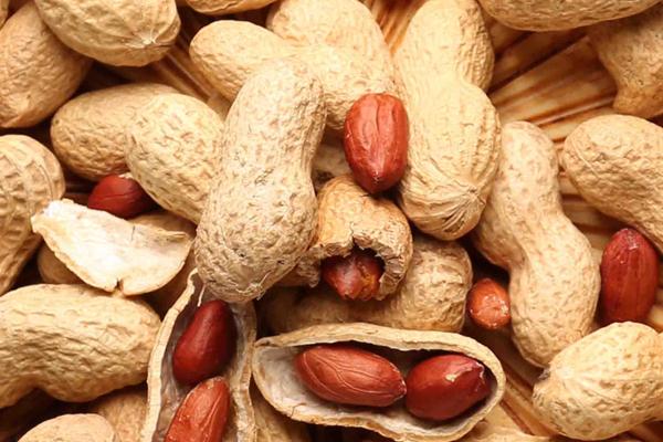 Monkey Nuts some open