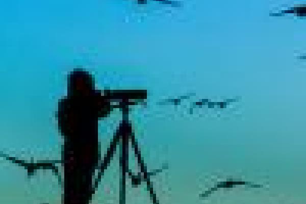 Birdwatcher silhouette icon