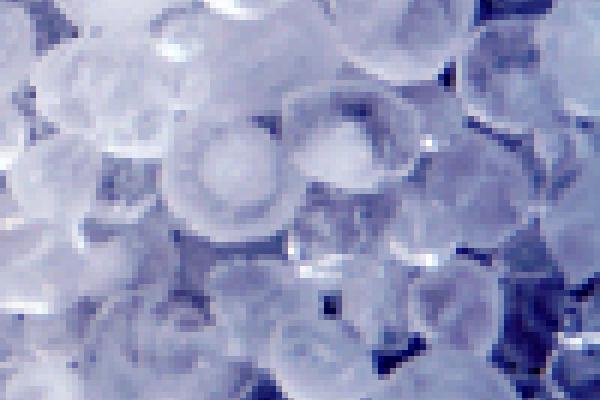 Hailstones