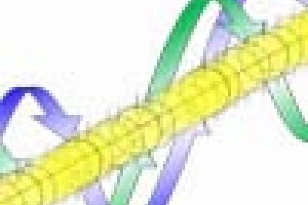 Arrows around a yellow tube