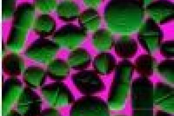 Green and pink photo of pills