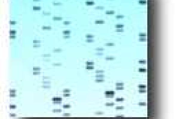 blue square with small blue squares inside