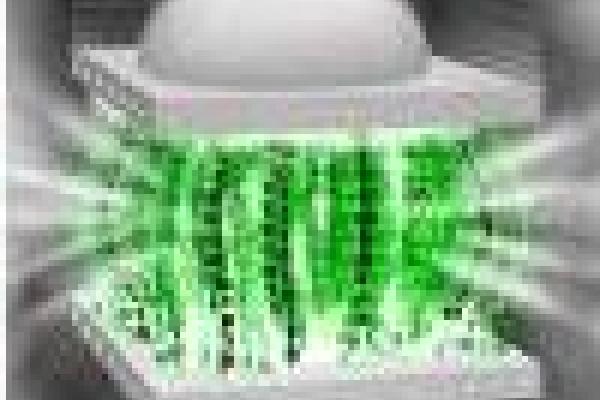 Green numbers in a white clamp