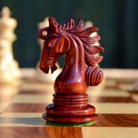 Black wooden knight on a chessboard