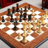Chess Board mid game