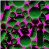 Green and pink photo of pills